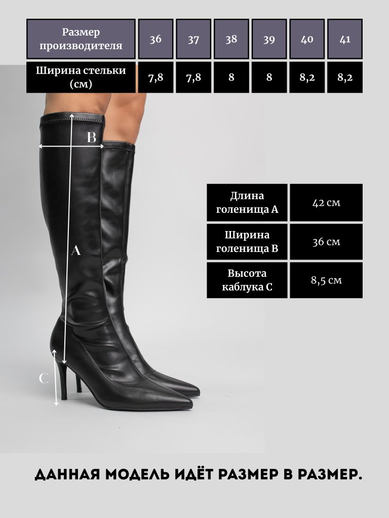 Сапоги alinashoes черный купить,NaN