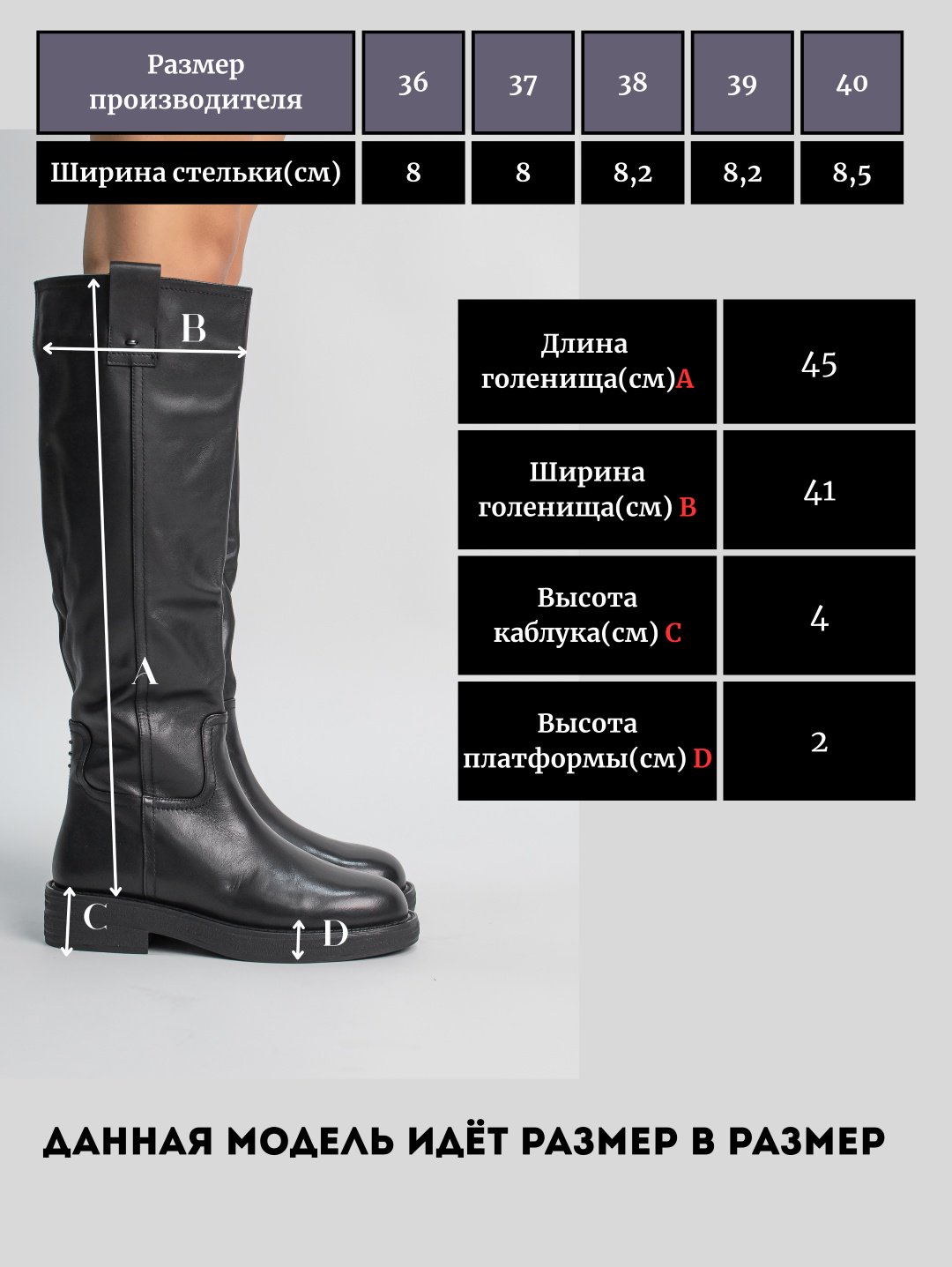 Сапоги alinashoes black 37 купить,NaN