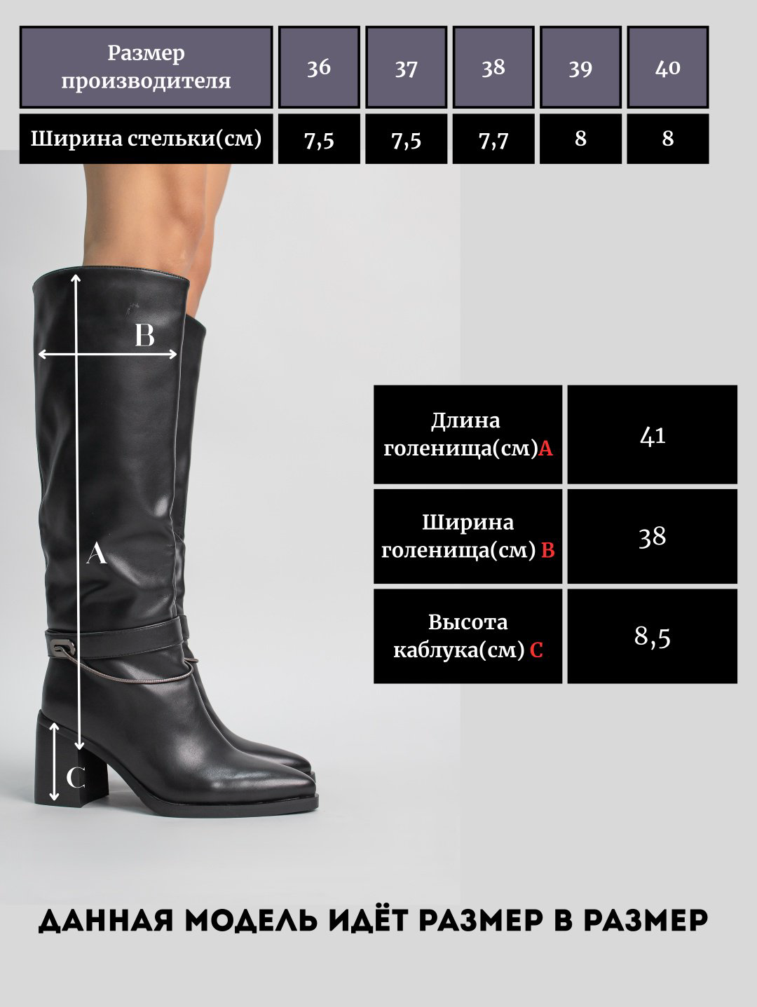 Сапоги alinashoes black 38 купить,NaN