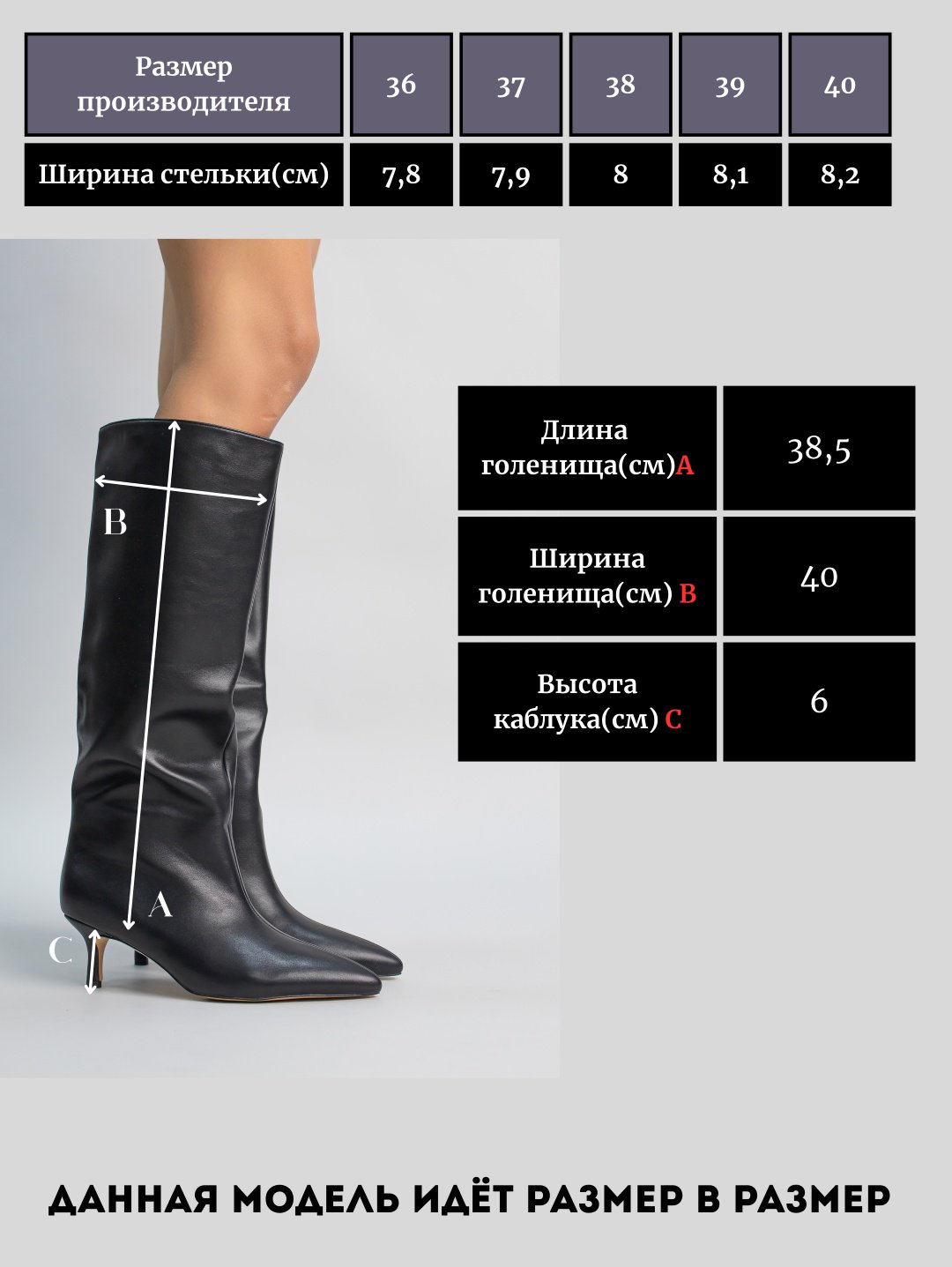 Сапоги alinashoes мультиколор купить,NaN