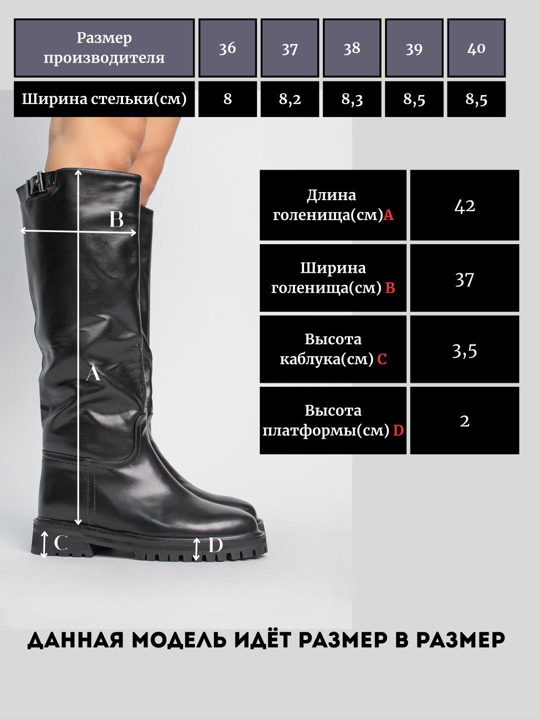 Сапоги alinashoes черный купить,NaN