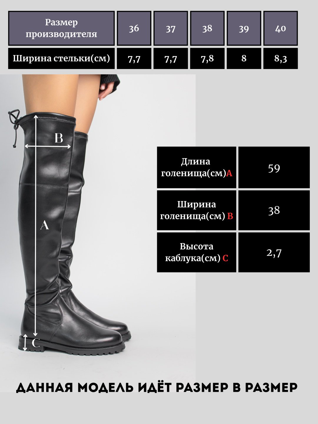 Ботфорты alinashoes мультиколор купить,NaN