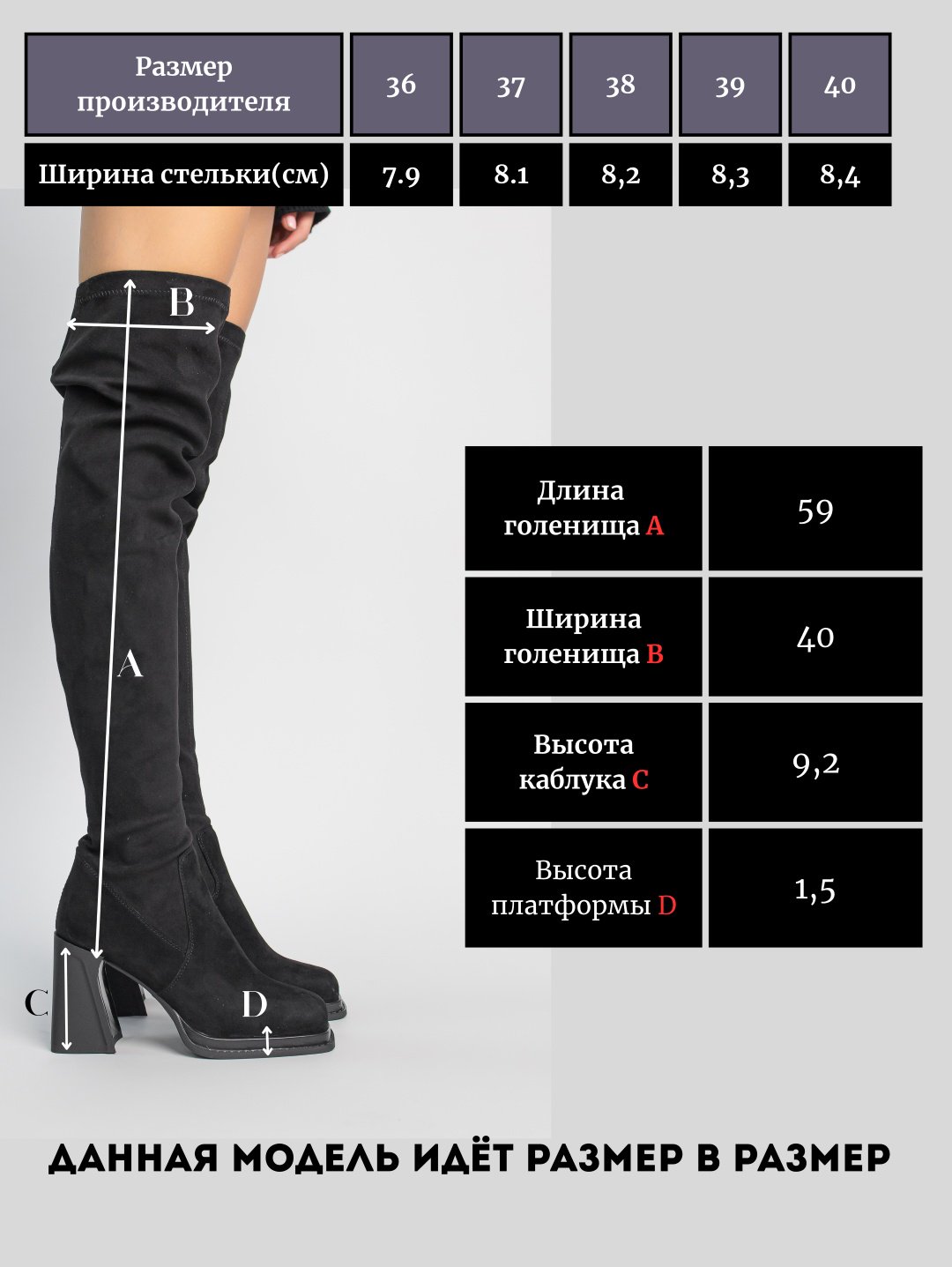 Ботфорты alinashoes black 40 купить,NaN