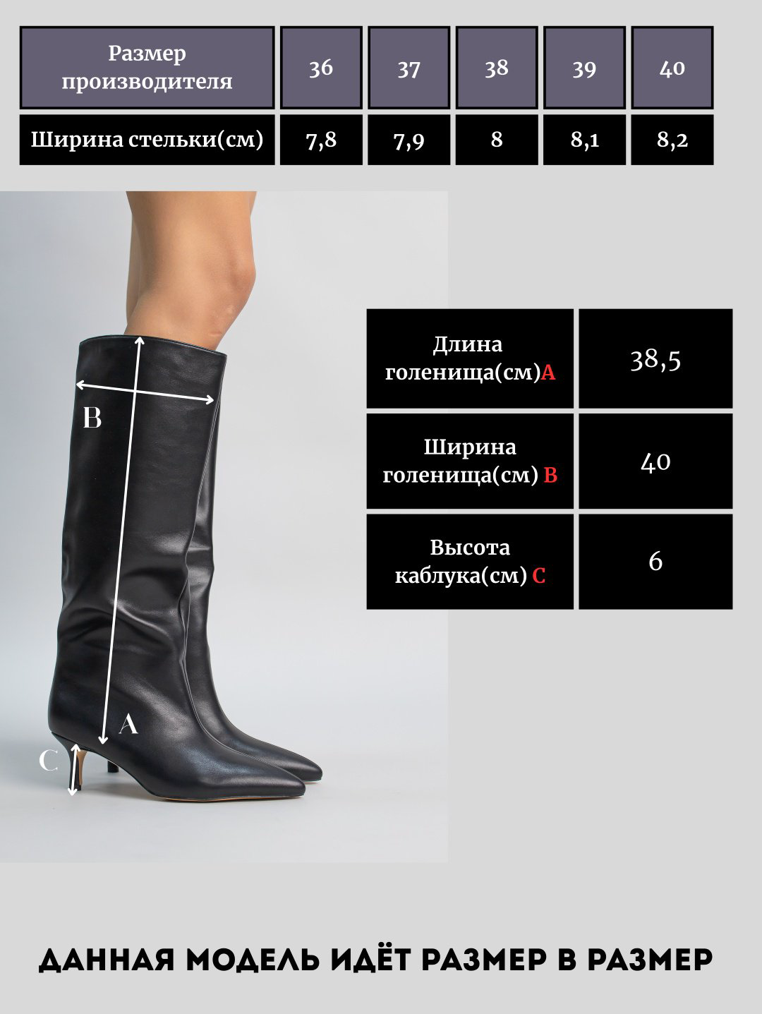 Сапоги alinashoes мультиколор купить,NaN