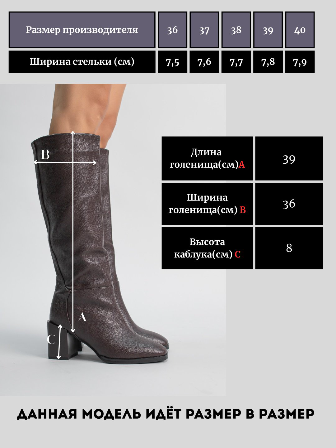 Сапоги alinashoes brown 40 купить,NaN