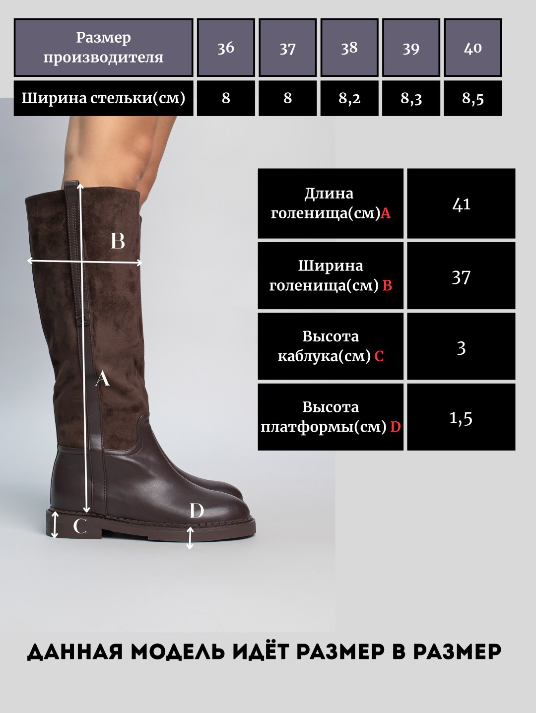 Сапоги alinashoes brown 37 купить,NaN