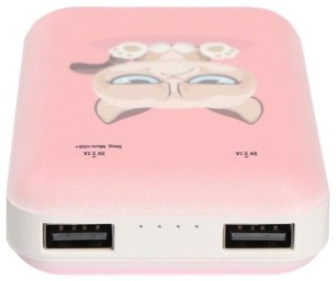 Внешний аккумулятор Ritmix RPB-10007 Grumpy Cat 10000 mAh купить,0