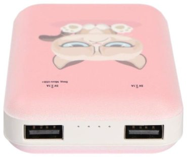 Внешний аккумулятор Ritmix RPB-10007 Grumpy Cat 10000 mAh купить,NaN