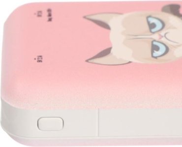 Внешний аккумулятор Ritmix RPB-10007 Grumpy Cat 10000 mAh купить,0