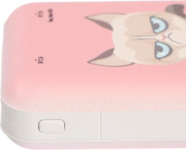 Внешний аккумулятор Ritmix RPB-10007 Grumpy Cat 10000 mAh купить,NaN