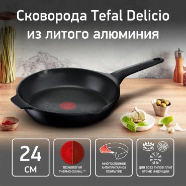 Сковорода универсальная Tefal Delicio E2320474 24 см, алюминий купить,NaN