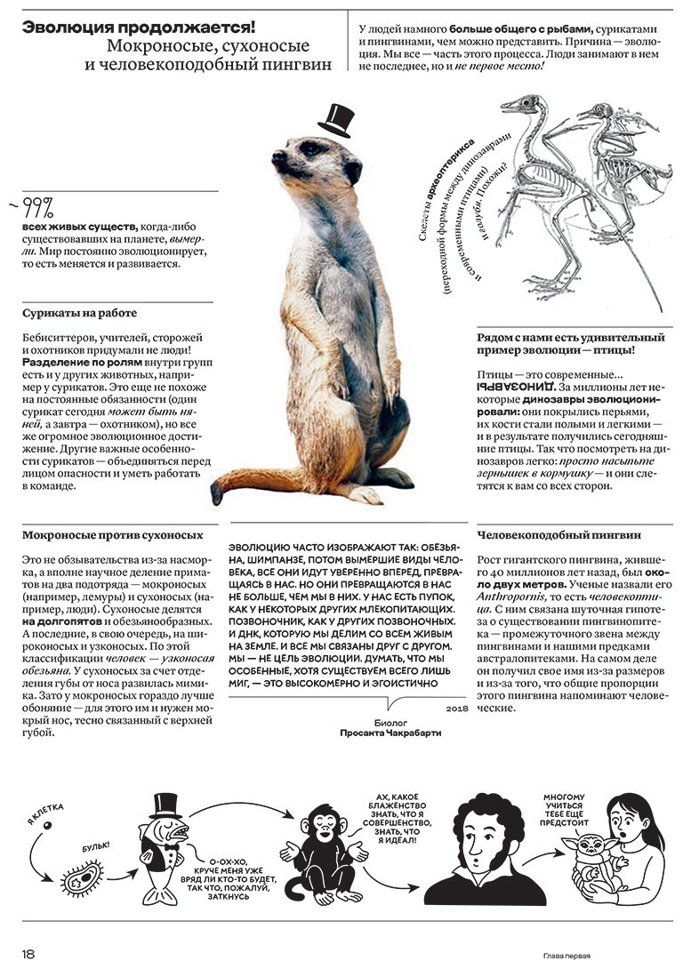 Книга Дзядко Ф.: Человек становится собой. И находит первые суперсилы купить,NaN