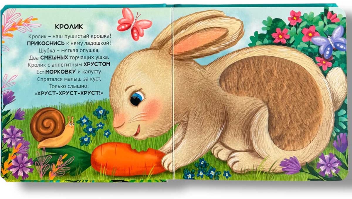 Книга Без автора: Погладим-поглядим: В деревне купить,NaN