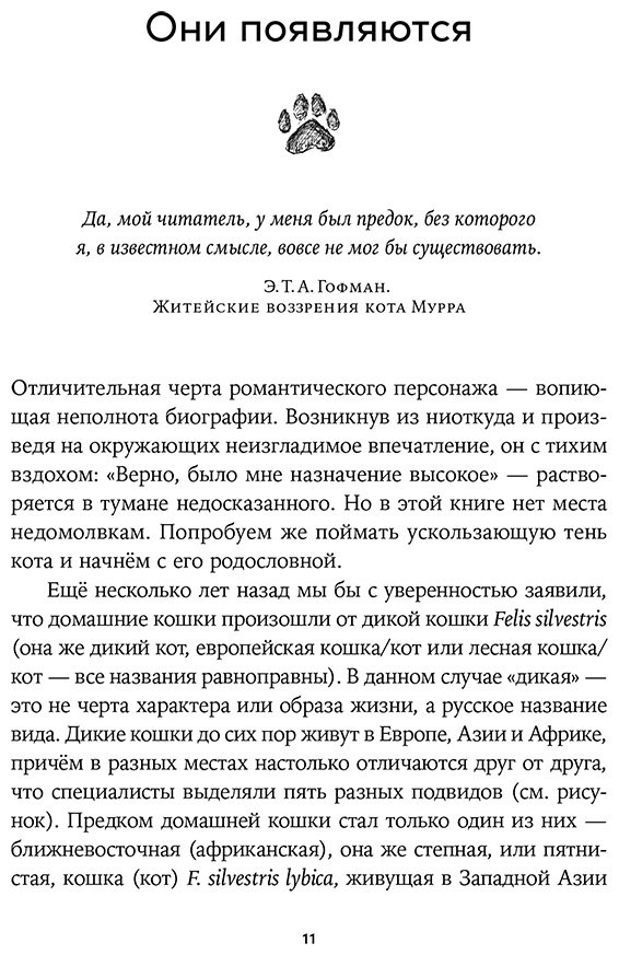 Книга Резник Н.: Человек среди котов: История близкого соседства купить,NaN