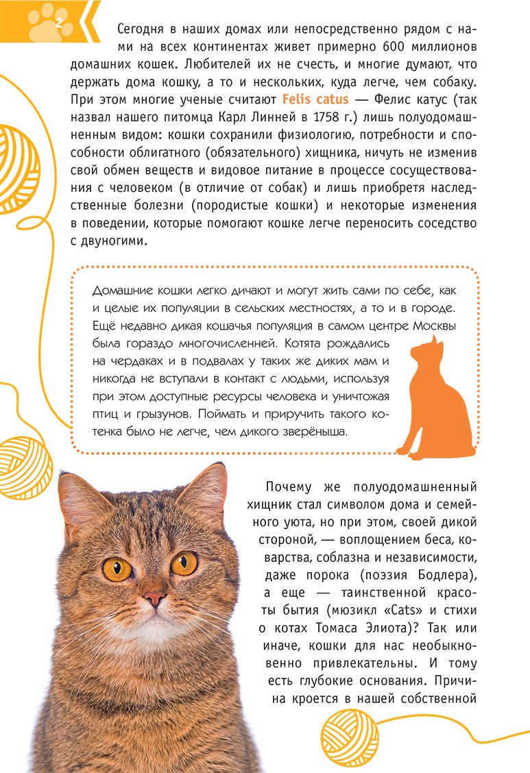 Книга Михальская А. К.: Кошки мира. Определитель купить,NaN