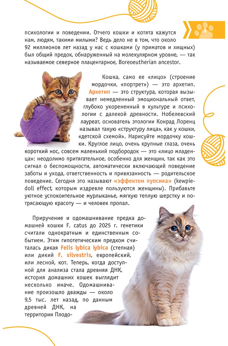 Книга Михальская А. К.: Кошки мира. Определитель купить,NaN