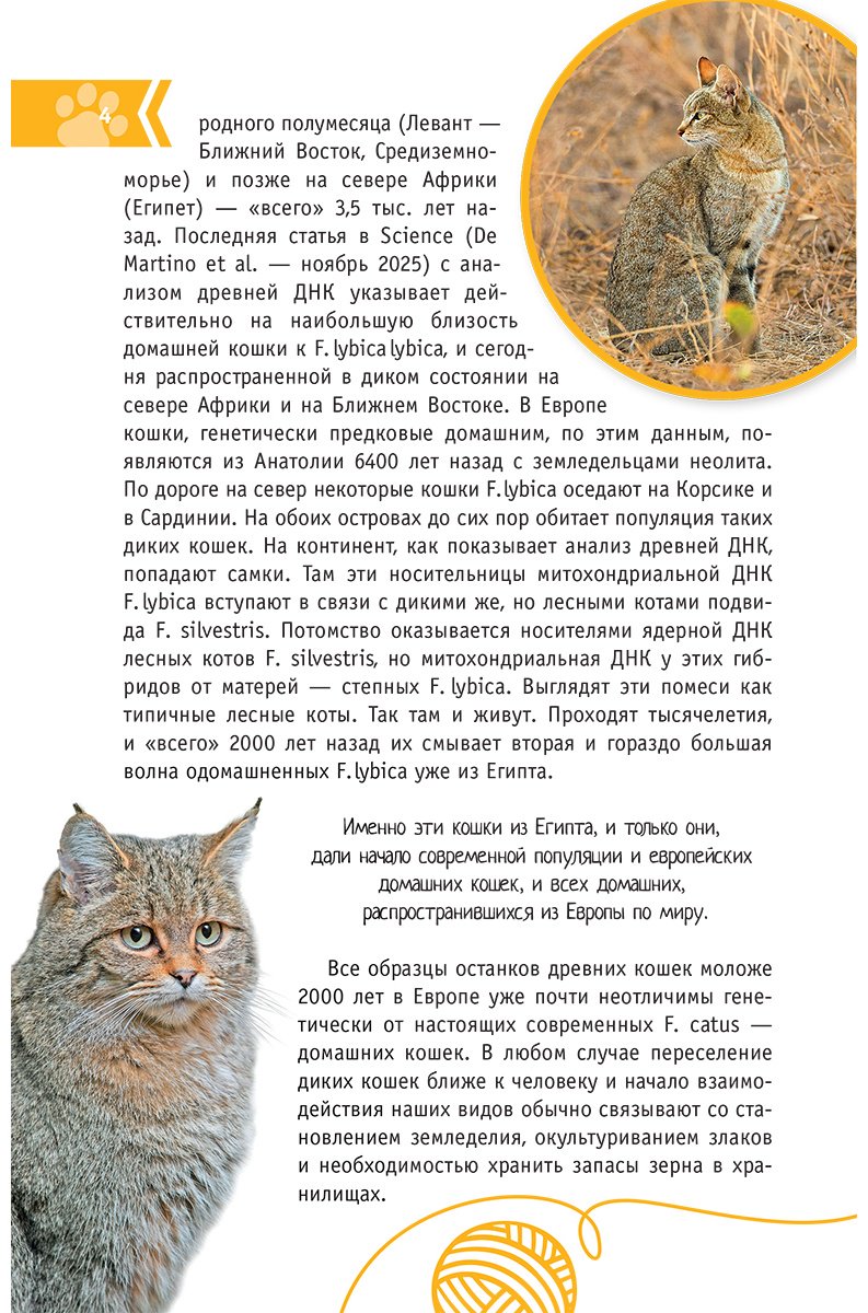 Книга Михальская А. К.: Кошки мира. Определитель купить,NaN