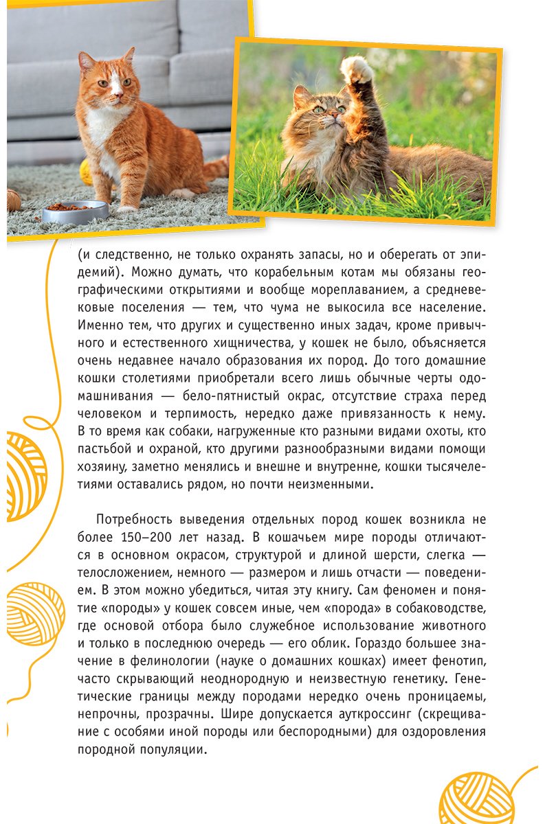 Книга Михальская А. К.: Кошки мира. Определитель купить,NaN