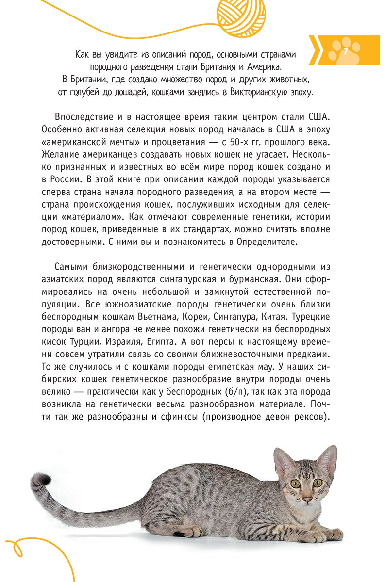 Книга Михальская А. К.: Кошки мира. Определитель купить,NaN