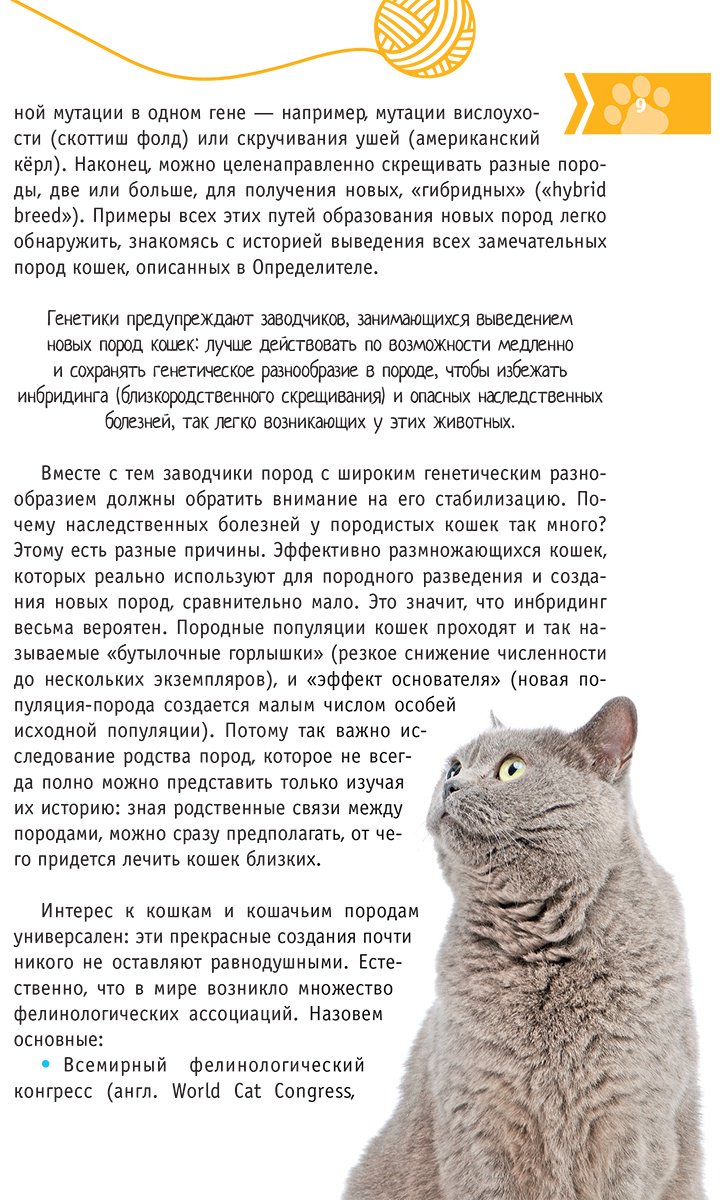 Книга Михальская А. К.: Кошки мира. Определитель купить,NaN
