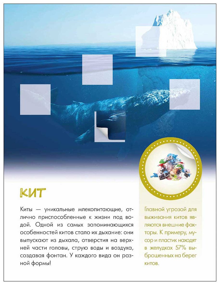Книга Без автора: Мир животных с наклейками. Кто живёт под водой купить,NaN