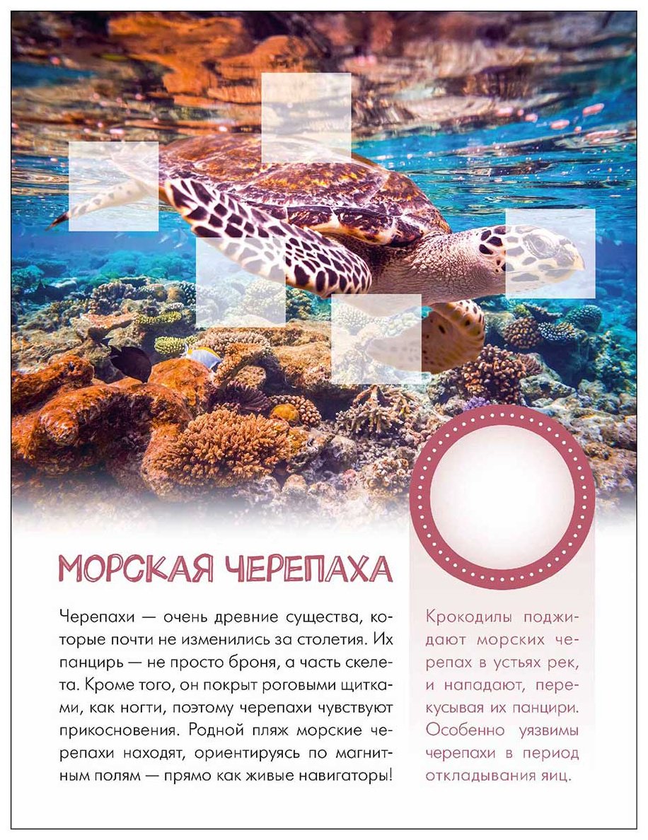Книга Без автора: Мир животных с наклейками. Кто живёт под водой купить,NaN
