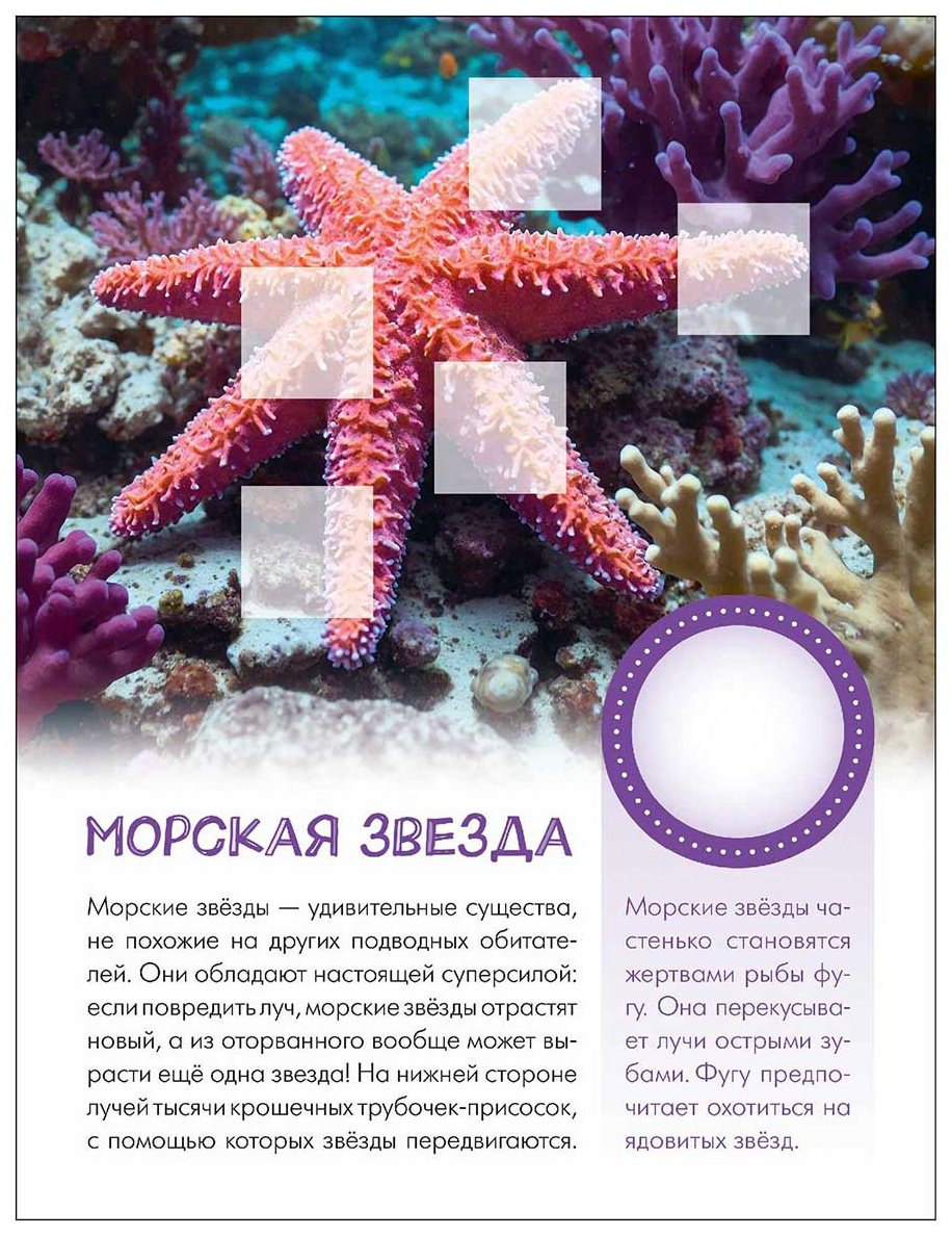 Книга Без автора: Мир животных с наклейками. Кто живёт под водой купить,NaN