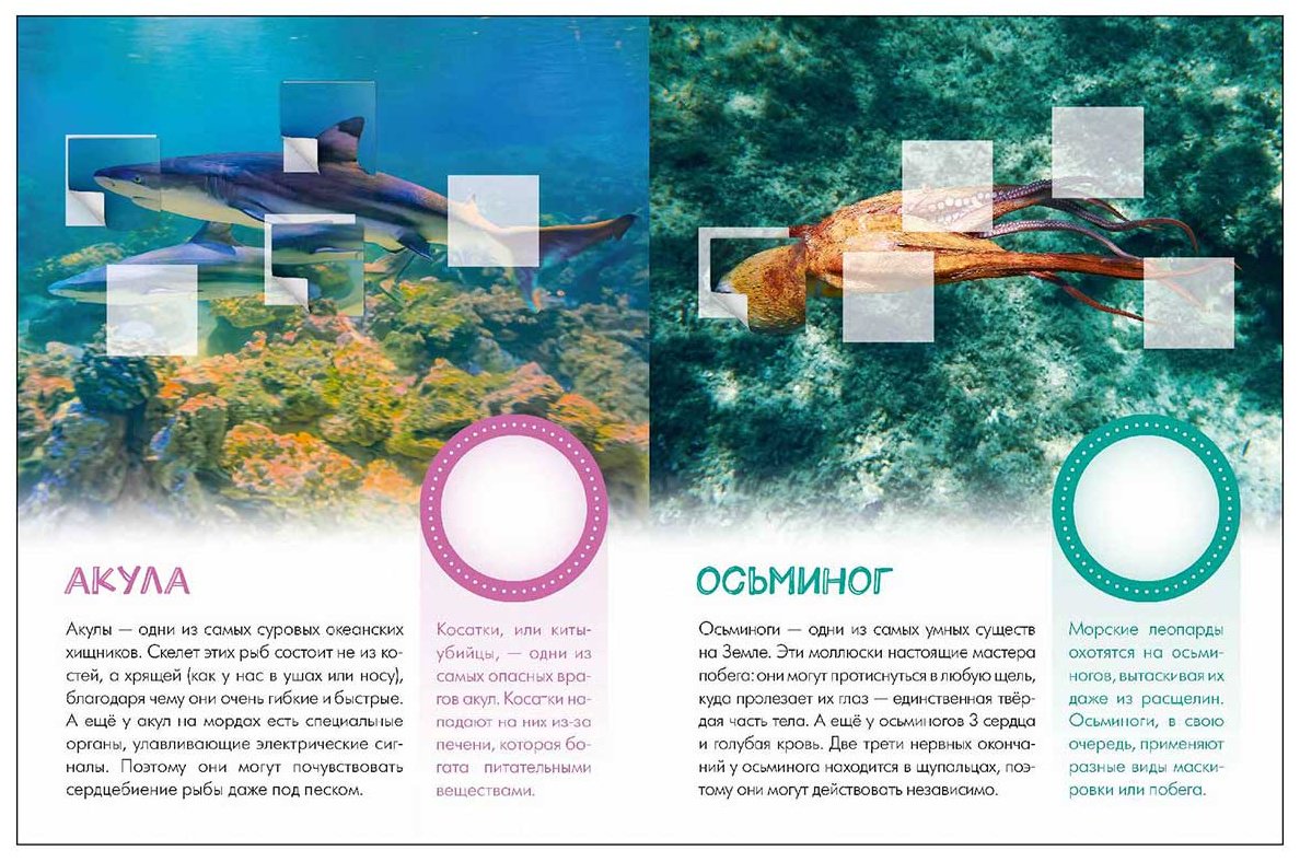 Книга Без автора: Мир животных с наклейками. Кто живёт под водой купить,NaN