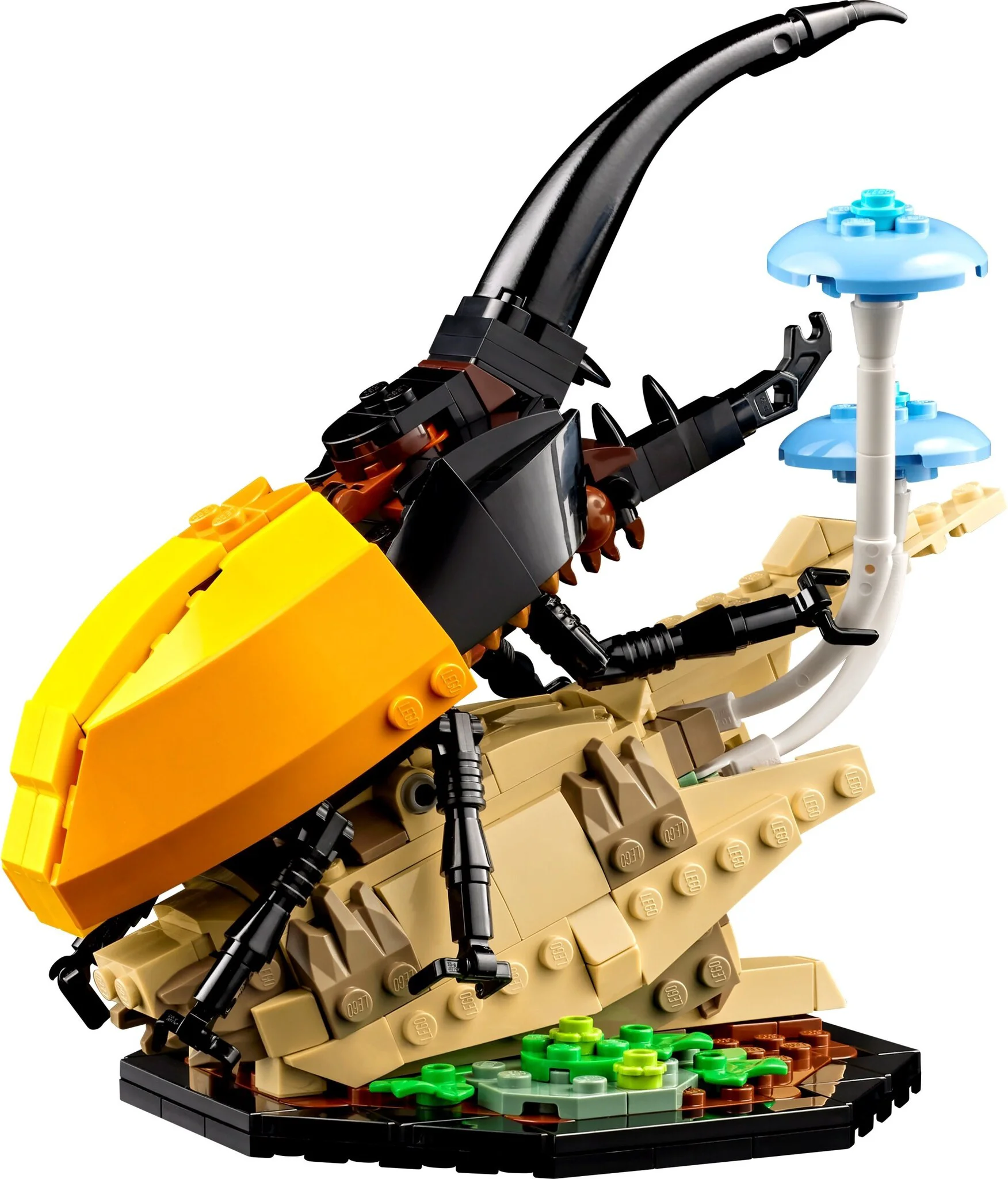 Конструктор Lego Коллекция насекомых Ideas 21342 купить,NaN