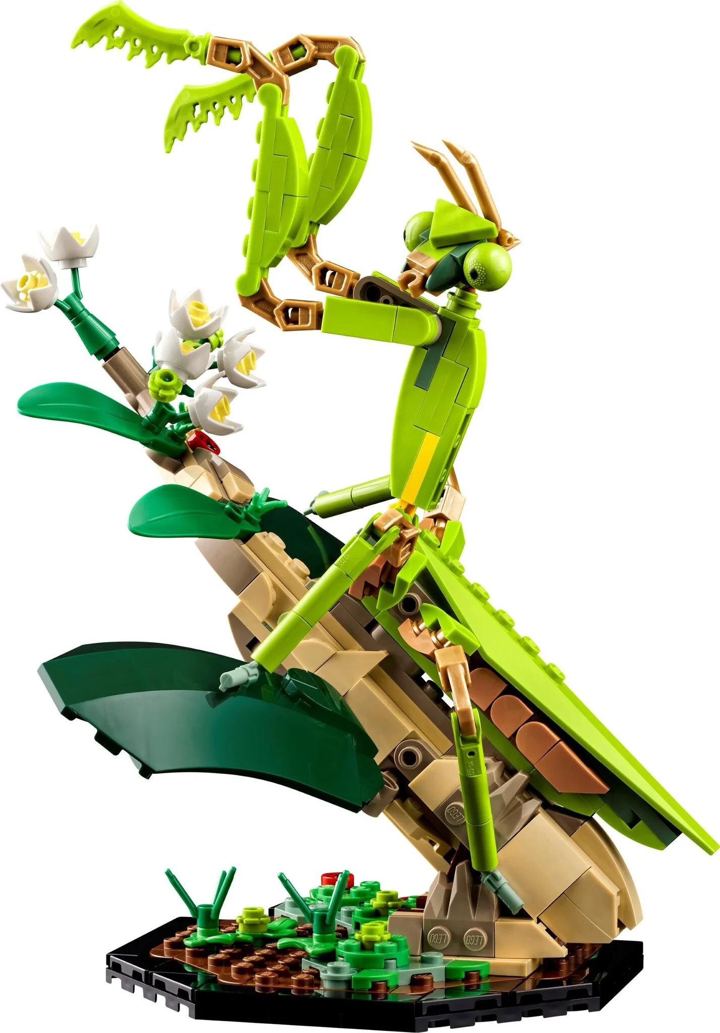 Конструктор Lego Коллекция насекомых Ideas 21342 купить,NaN