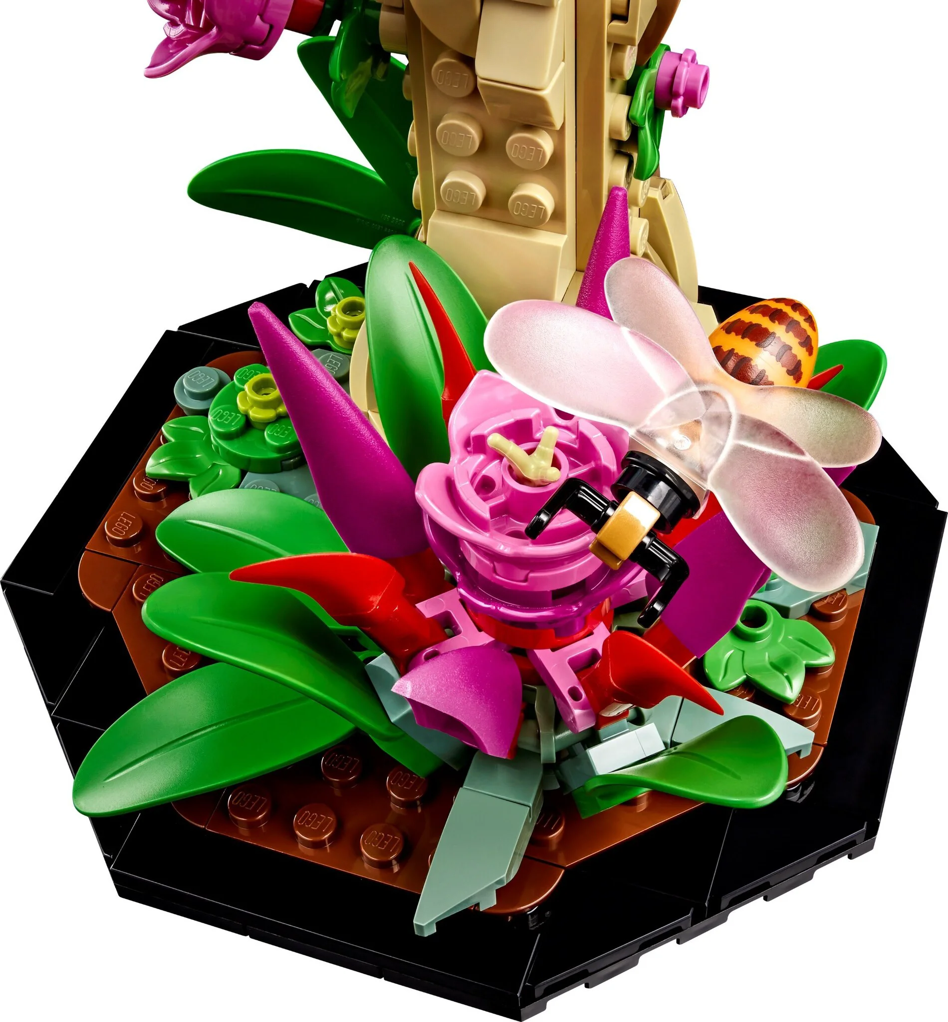Конструктор Lego Коллекция насекомых Ideas 21342 купить,NaN