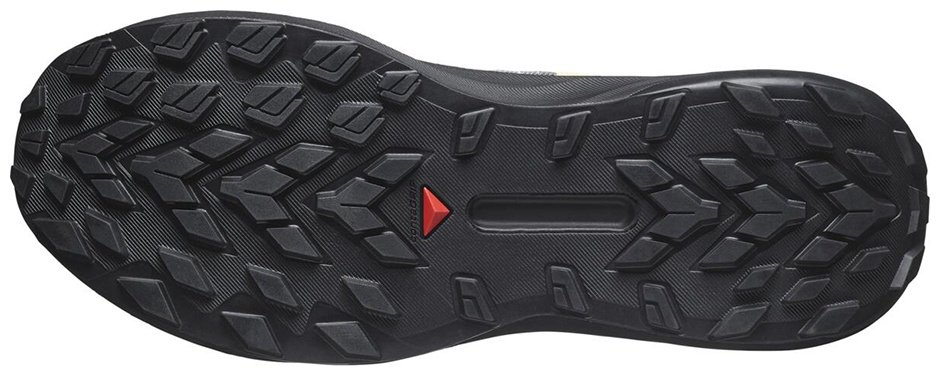 Кроссовки Salomon Genesis серый купить,89900