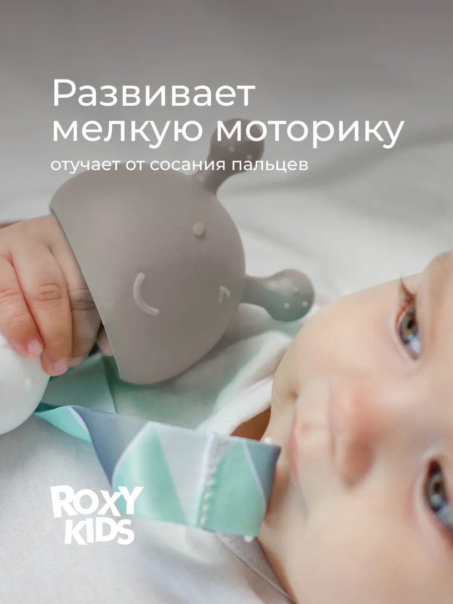 Прорезыватель ROXY-KIDS Грибочек RST-001-CAR, 1 шт, коричневый