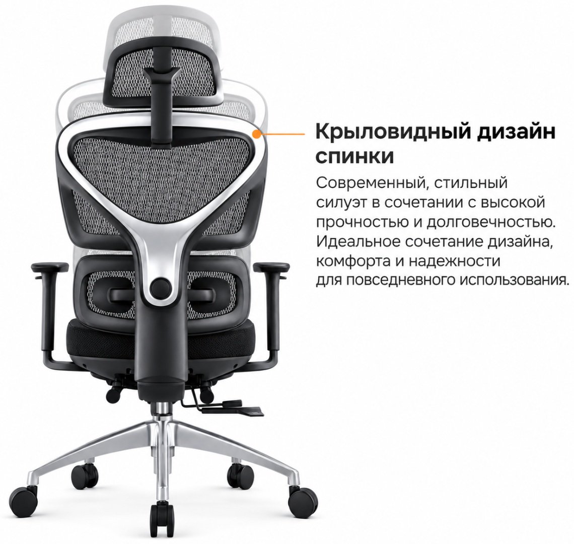 Офисное кресло Eco Estelar Paseon, черный купить,149990
