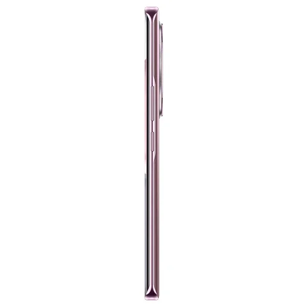 Смартфон Honor X9c 8/256Gb Titanium Purple - ForteMarket Смартфон Honor X9c 8/256Gb Titanium Purple купить,0