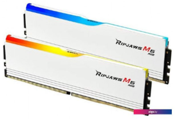 Оперативная память G.SKILL F5-5200J4040A24GX2-RM5RW 48 Гб