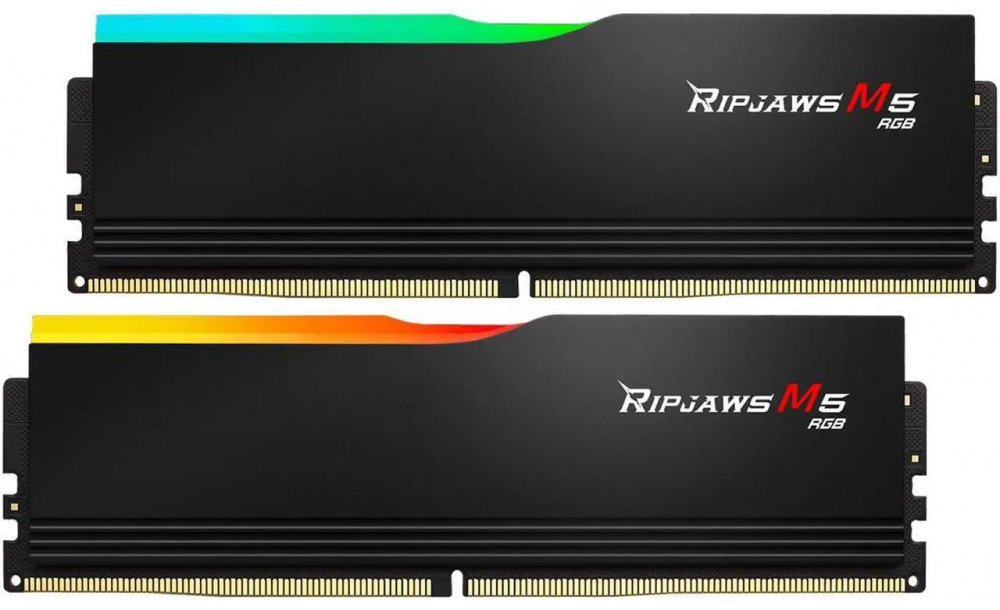 Оперативная память G.SKILL F5-5200J4040A24GX2-RM5RK 48 Гб купить,NaN