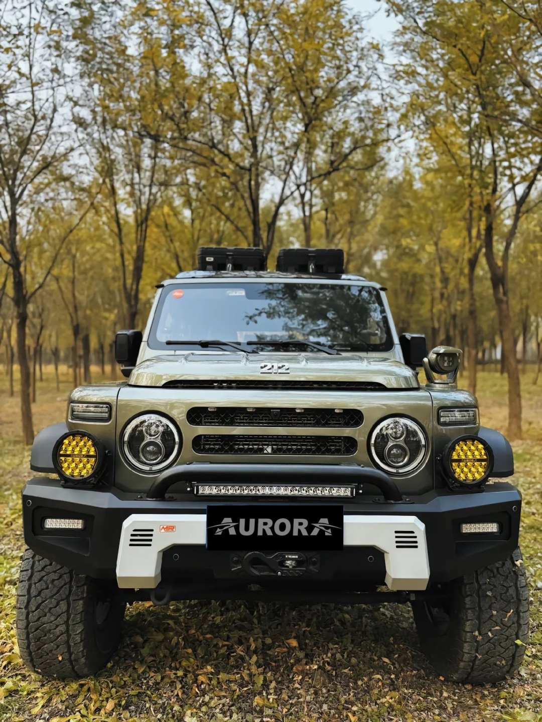 AURORA светодиодный прожектор ALO-P-R9-C31DAW 165 Вт круглая купить,251500