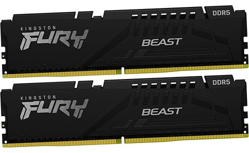 Оперативная память Kingston KF560C36BBEK2-64 64 Гб