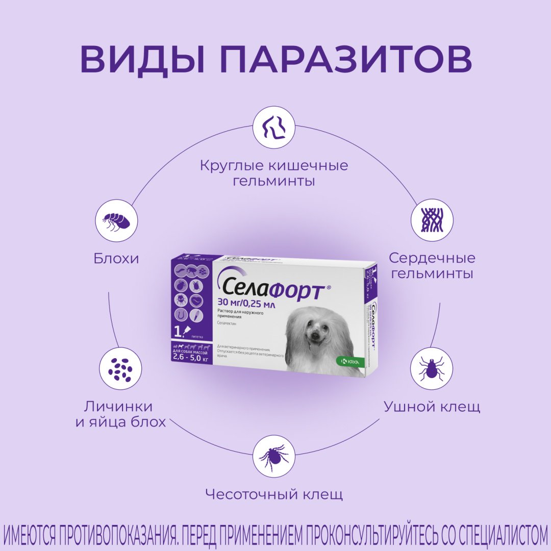 Средство KRKA Селафорт капли от блох, от клещей, от власоедов для собак 2.6-5 кг, 0.25 мл 1 пипетка