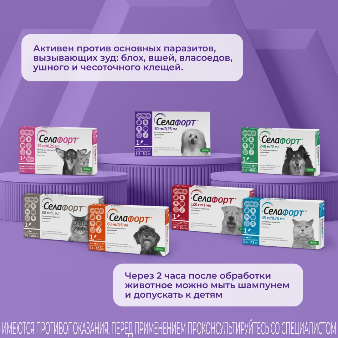 Средство KRKA Селафорт капли от блох, от клещей, от власоедов для собак 2.6-5 кг, 0.25 мл 1 пипетка