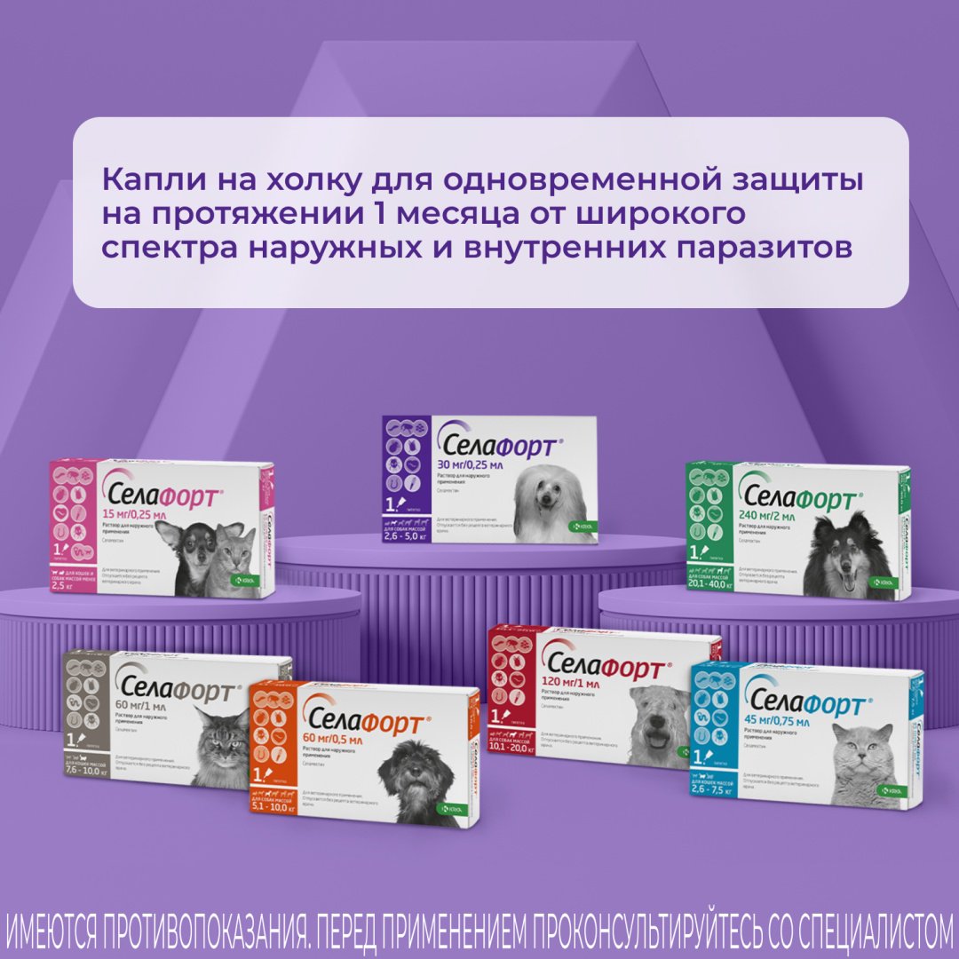 Средство KRKA Селафорт капли от блох, от клещей, от власоедов для собак 2.6-5 кг, 0.25 мл 1 пипетка