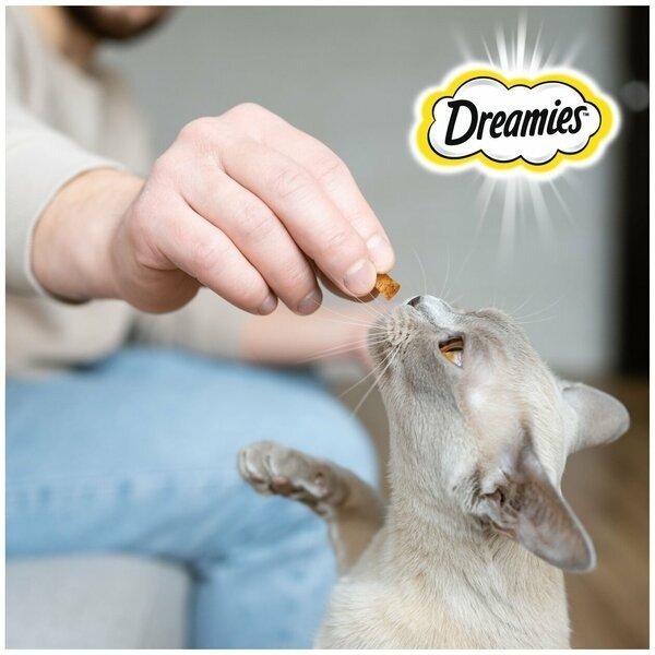 Лакомство Dreamies подушечки говядина 60 г 1 шт