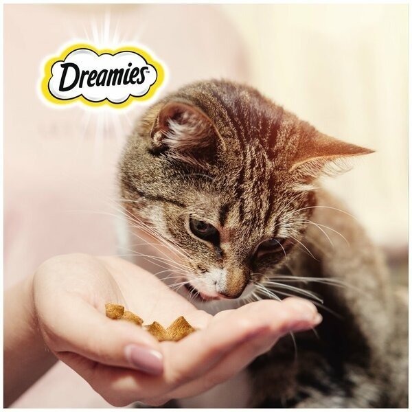 Лакомство Dreamies подушечки говядина 60 г 1 шт
