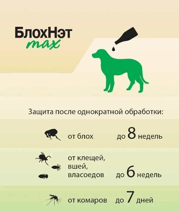 Средство Астрафарм БлохНэт Max от блох, от клещей, от власоедов для собак 10-20 кг