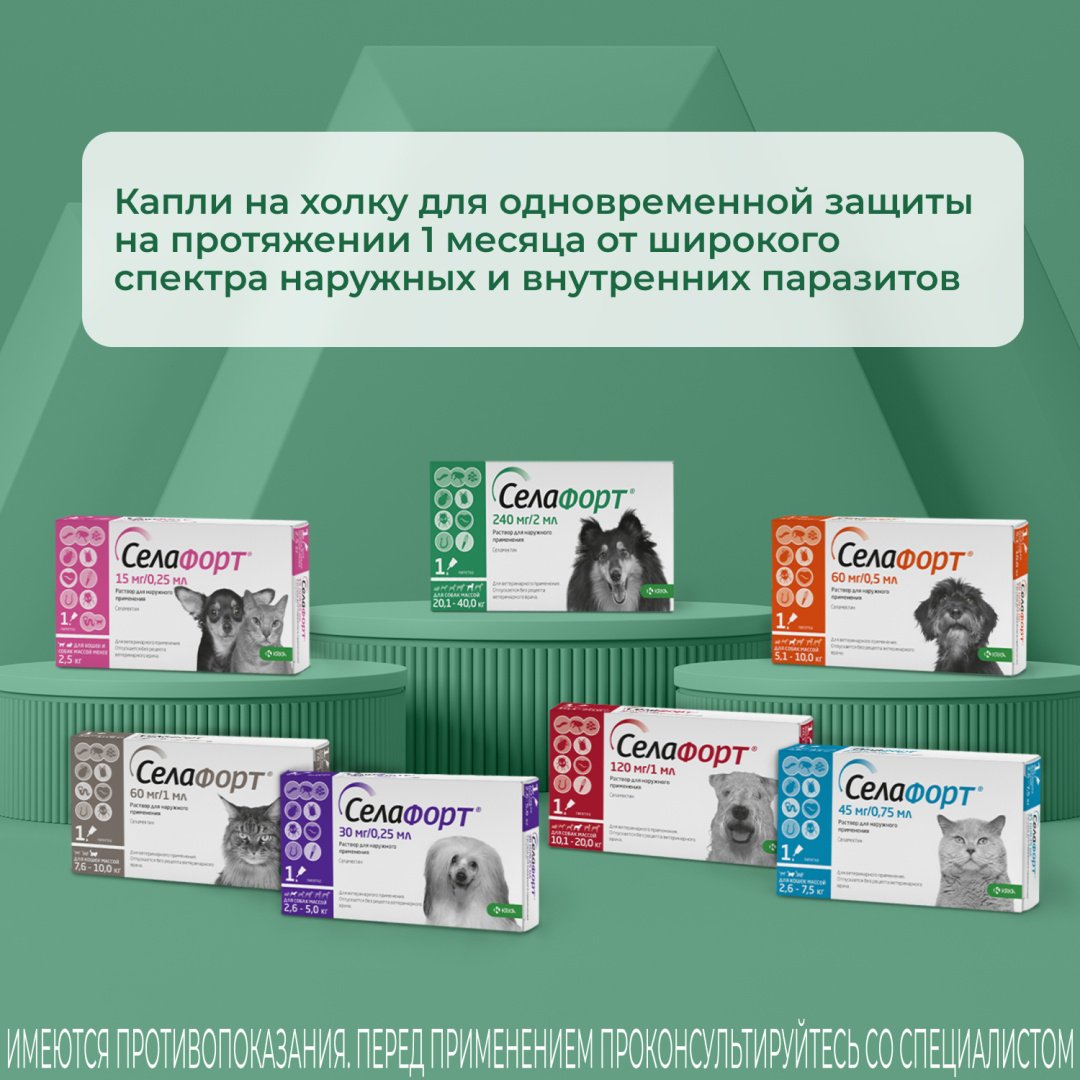 Средство KRKA Селафорт капли от блох, от клещей, от власоедов для собак от 20.1-40 кг 2 мл 1 пипетка
