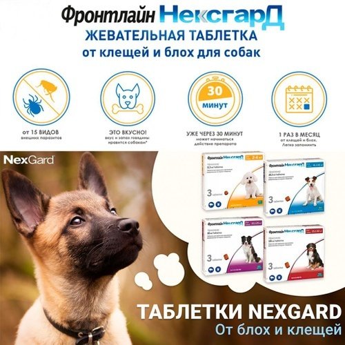 Средство Boehringer Ingelheim Фронтлайн НексгарД М от блох, от клещей для собак 4-10 кг 1 таблетка