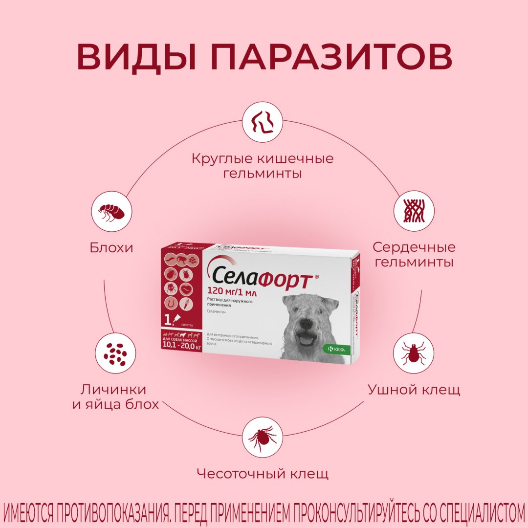 Средство KRKA Селафорт капли от блох, от клещей, от власоедов для собак 10-20 кг 1 пипетка