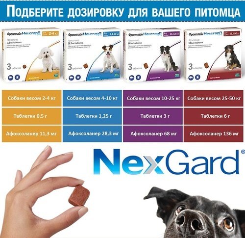 Средство Boehringer Ingelheim Фронтлайн НексгарД М от блох, от клещей для собак 4-10 кг 1 таблетка - ForteMarket Средство Boehringer Ingelheim Фронтлайн НексгарД М от блох, от клещей для собак 4-10 кг 1 таблетка купить,4900