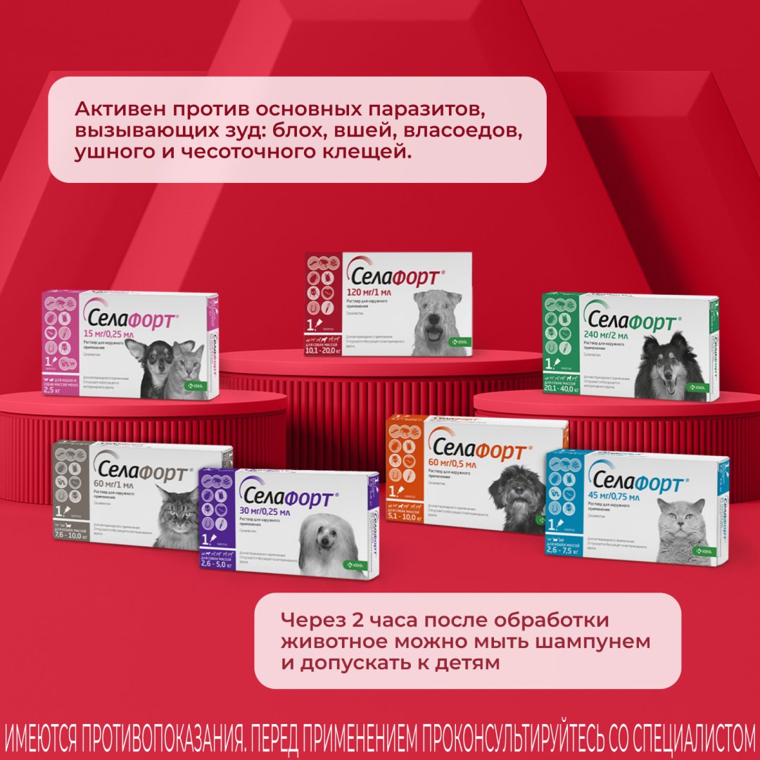 Средство KRKA Селафорт капли от блох, от клещей, от власоедов для собак 10-20 кг 1 пипетка